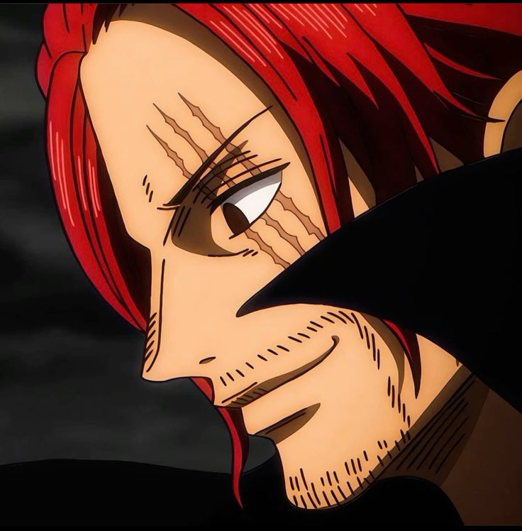 shanks.base.eth Profile Photo