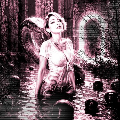 Velvet Venom