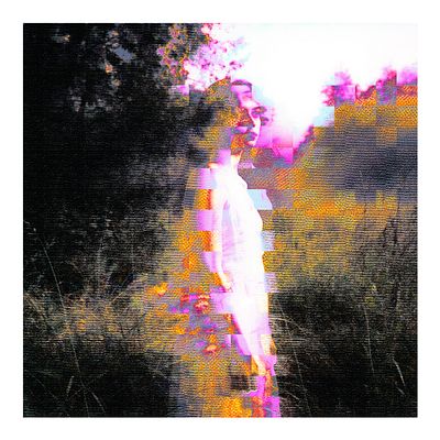 At the edge of the garden
