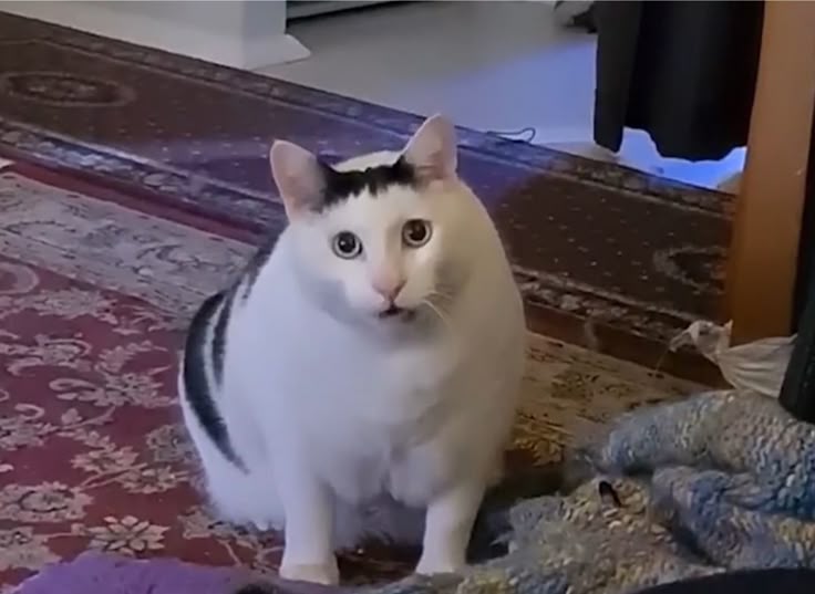 HUH