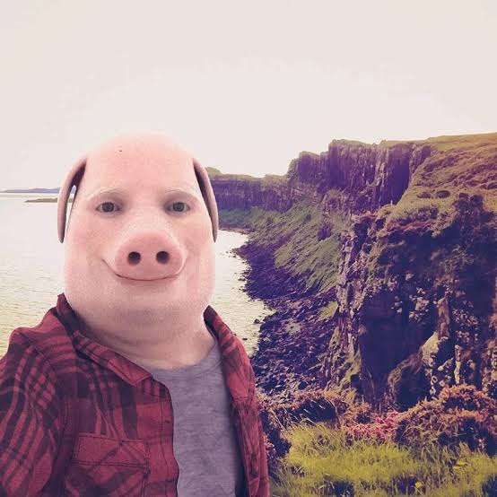 John Pork logo