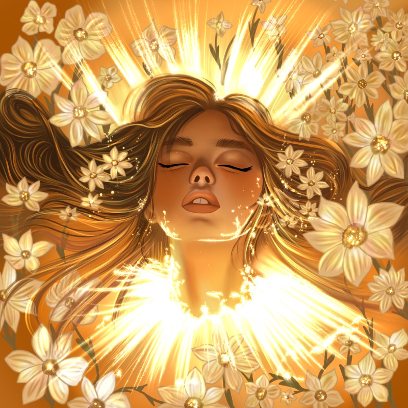 The Awakening of the Sun