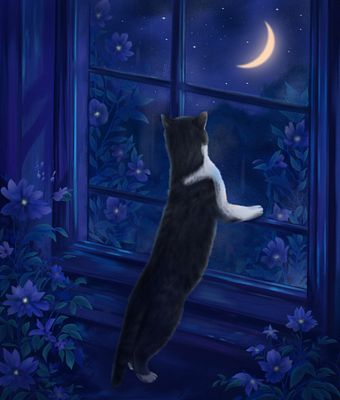 Night watcher