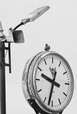 The Waiting Chair