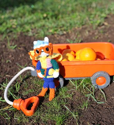 Picking Oranges