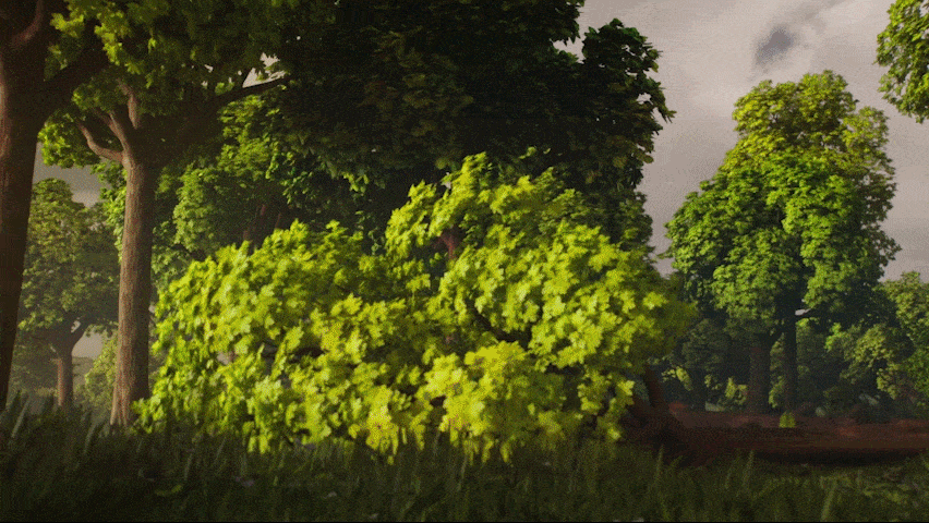 Deforestation (GIF)