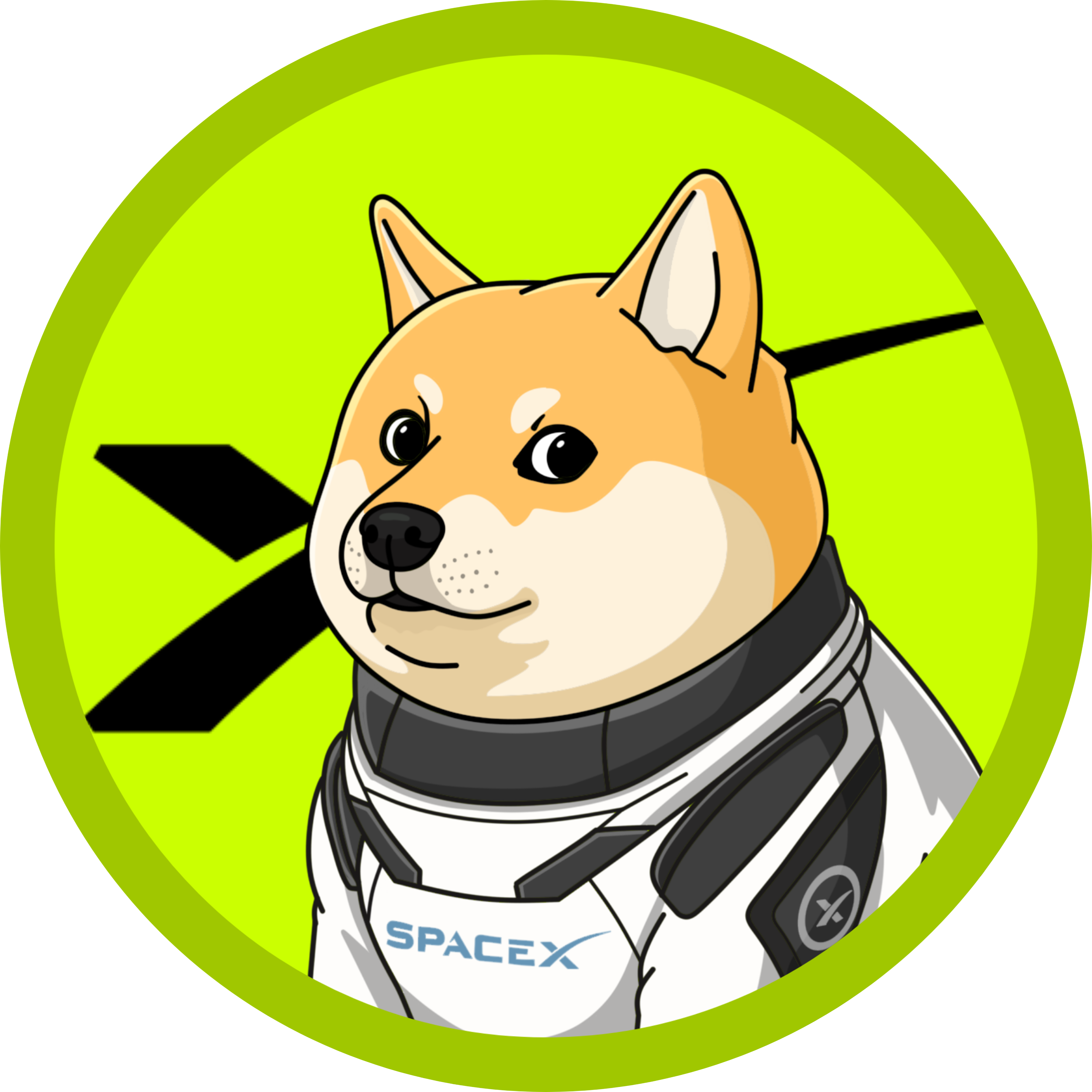 DOGE-1