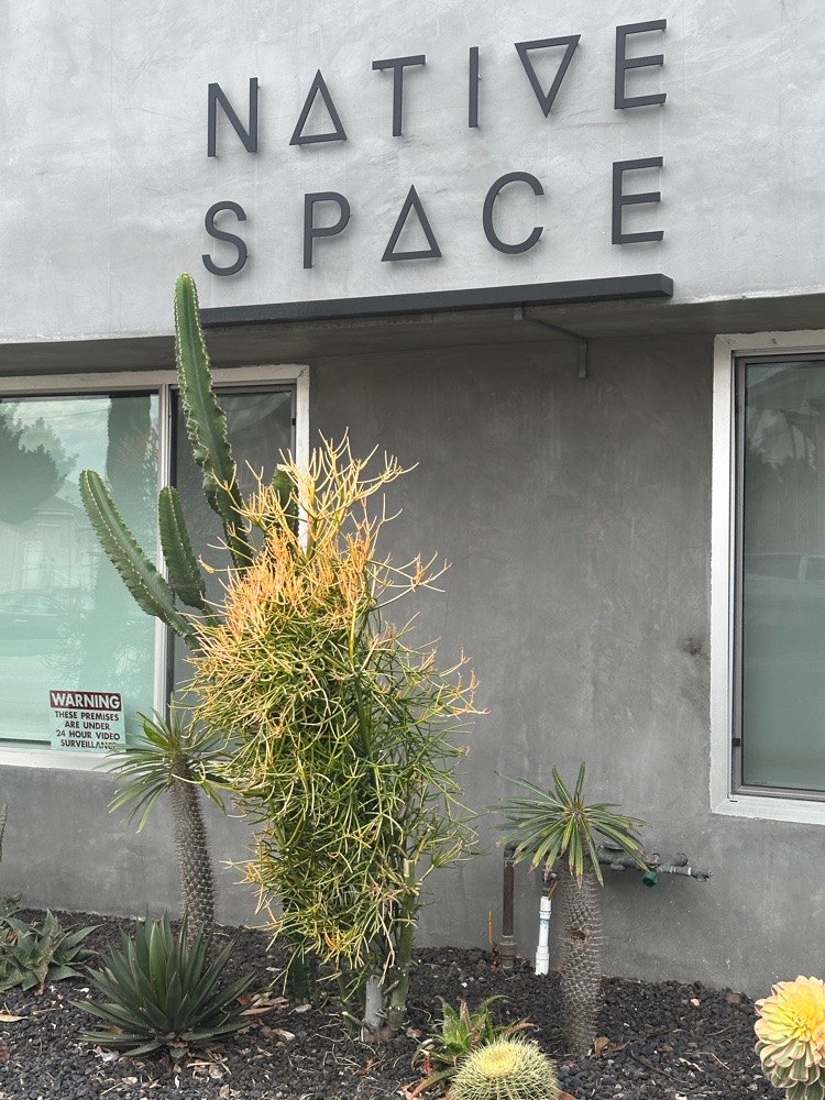 Native Space