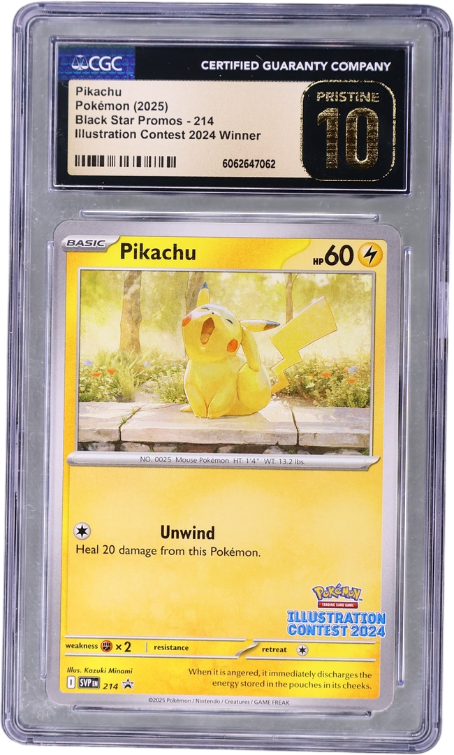 Pikachu [Illustration Contest 2024 Winner]