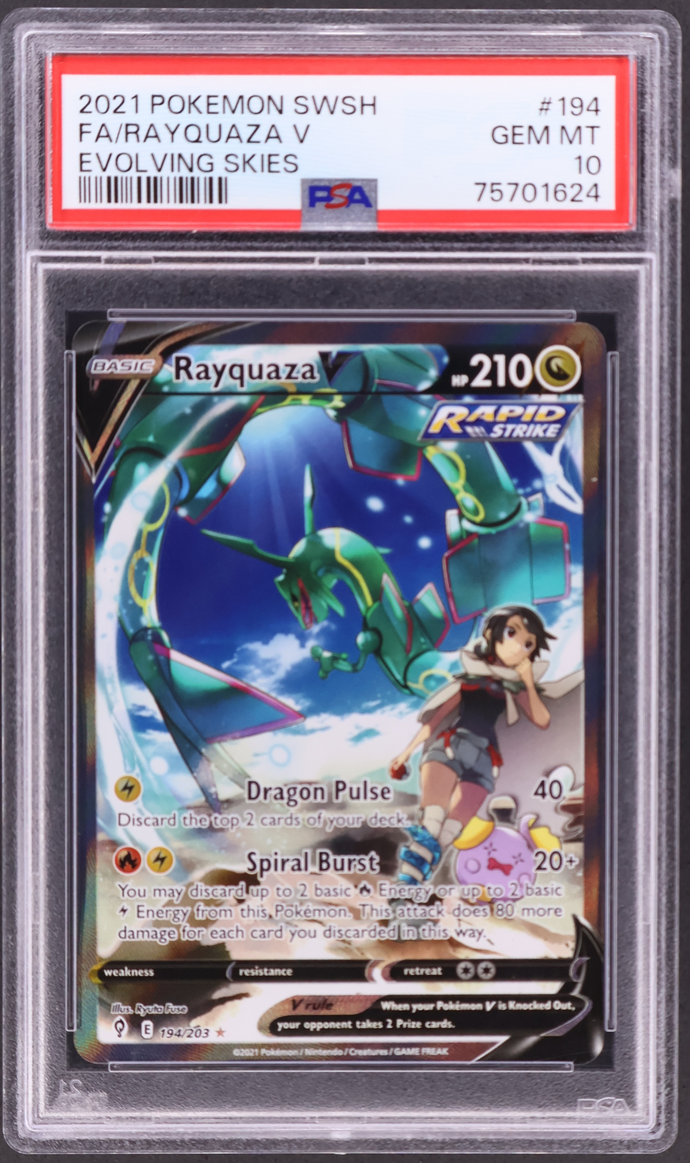 Full Art / Rayquaza V