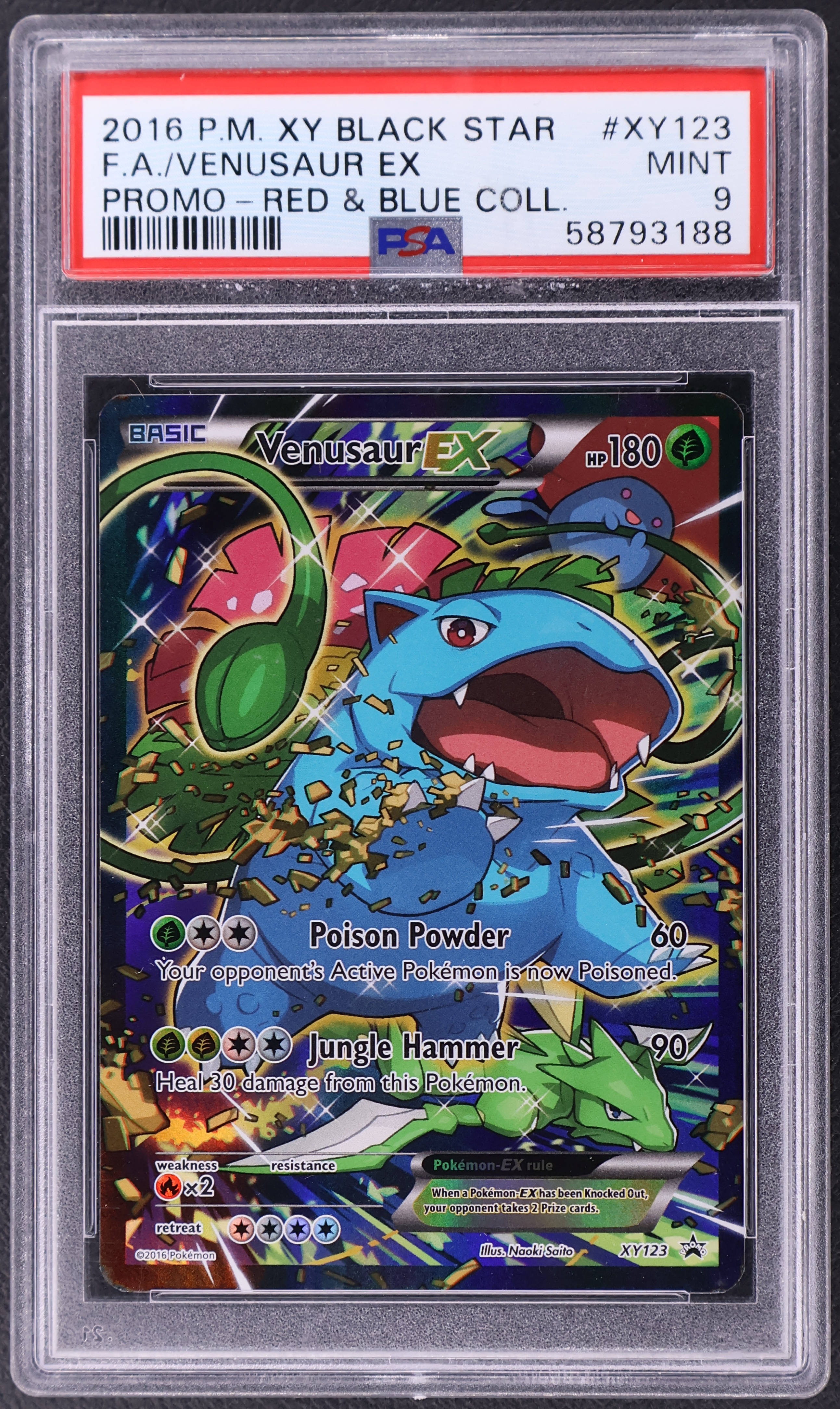 Full Art / Venusaur Ex