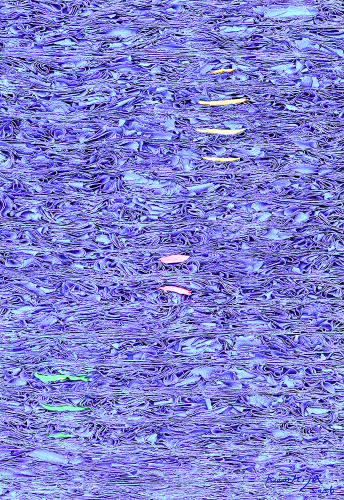 [DANFT-2026-0020] Time Accumulation