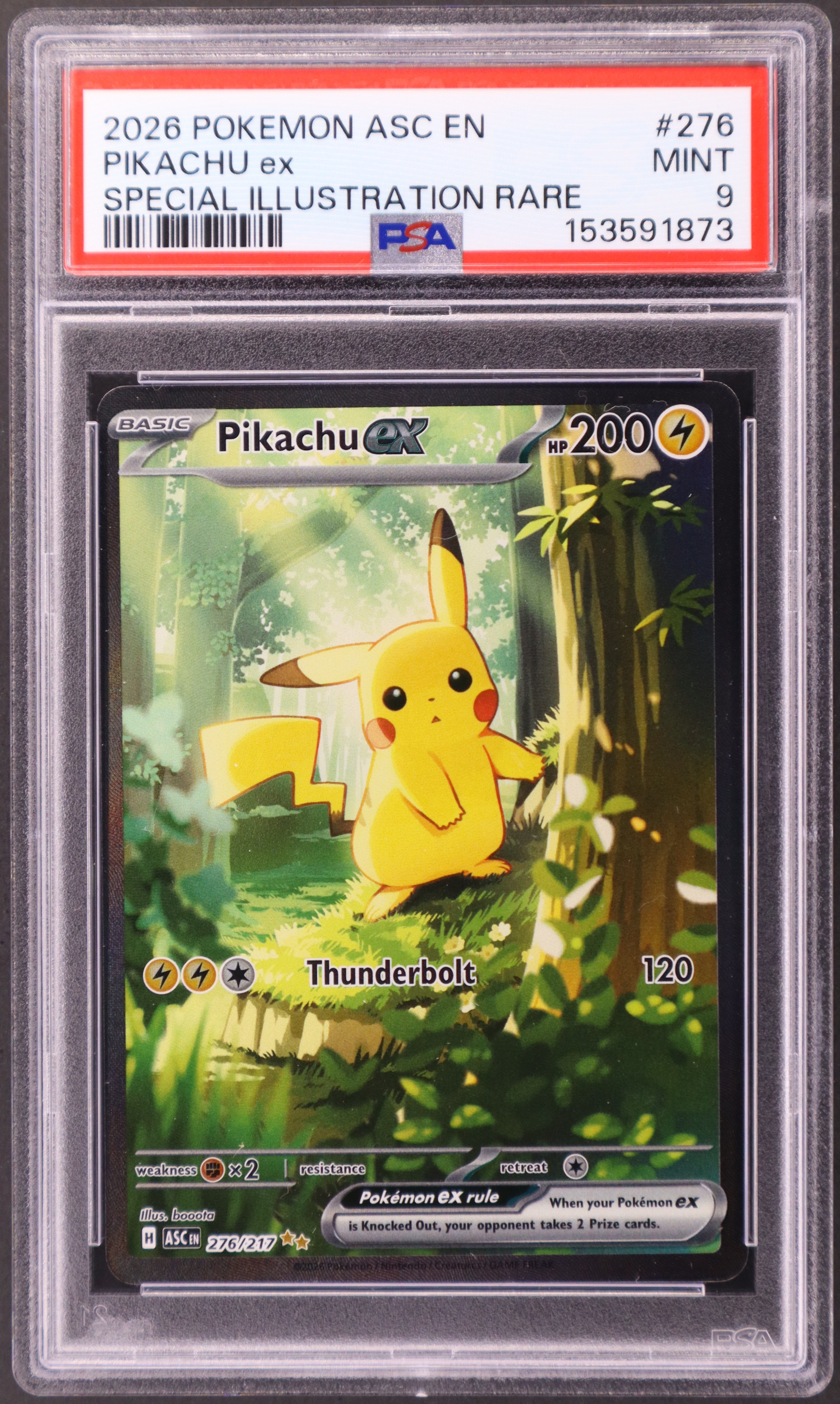 Pikachu Ex [Special Illustration Rare]
