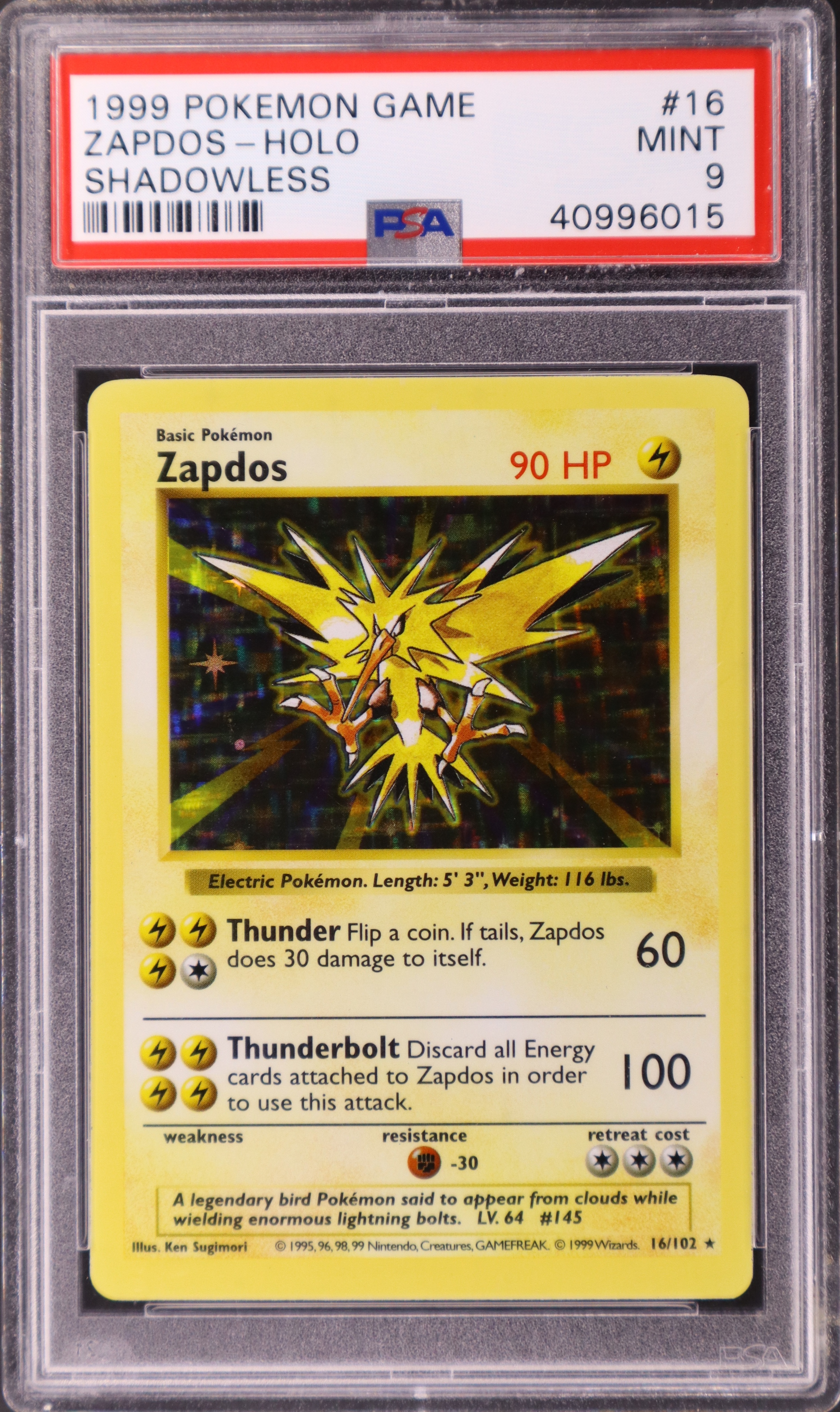 Zapdos-Holo