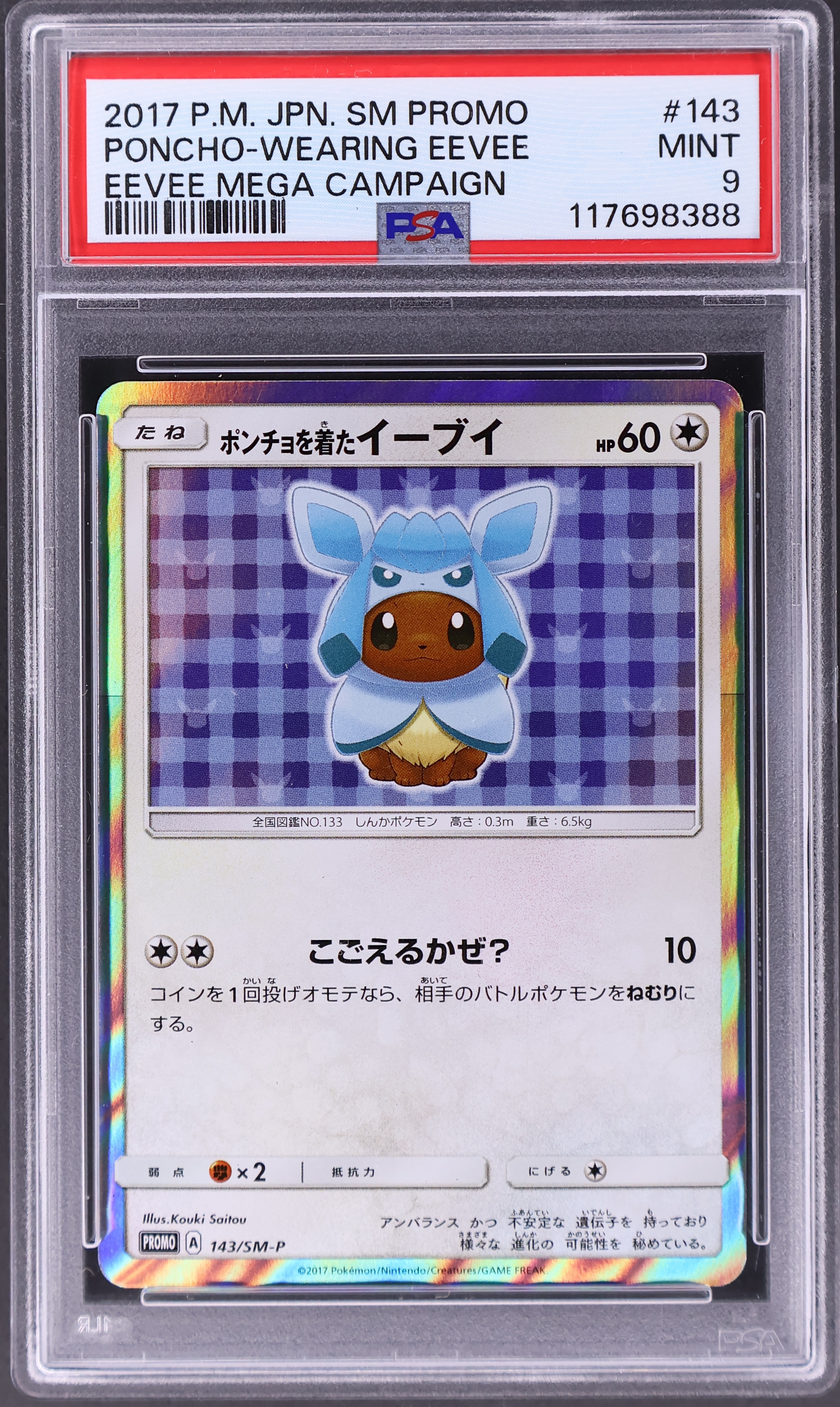 Poncho-Wearing Eevee