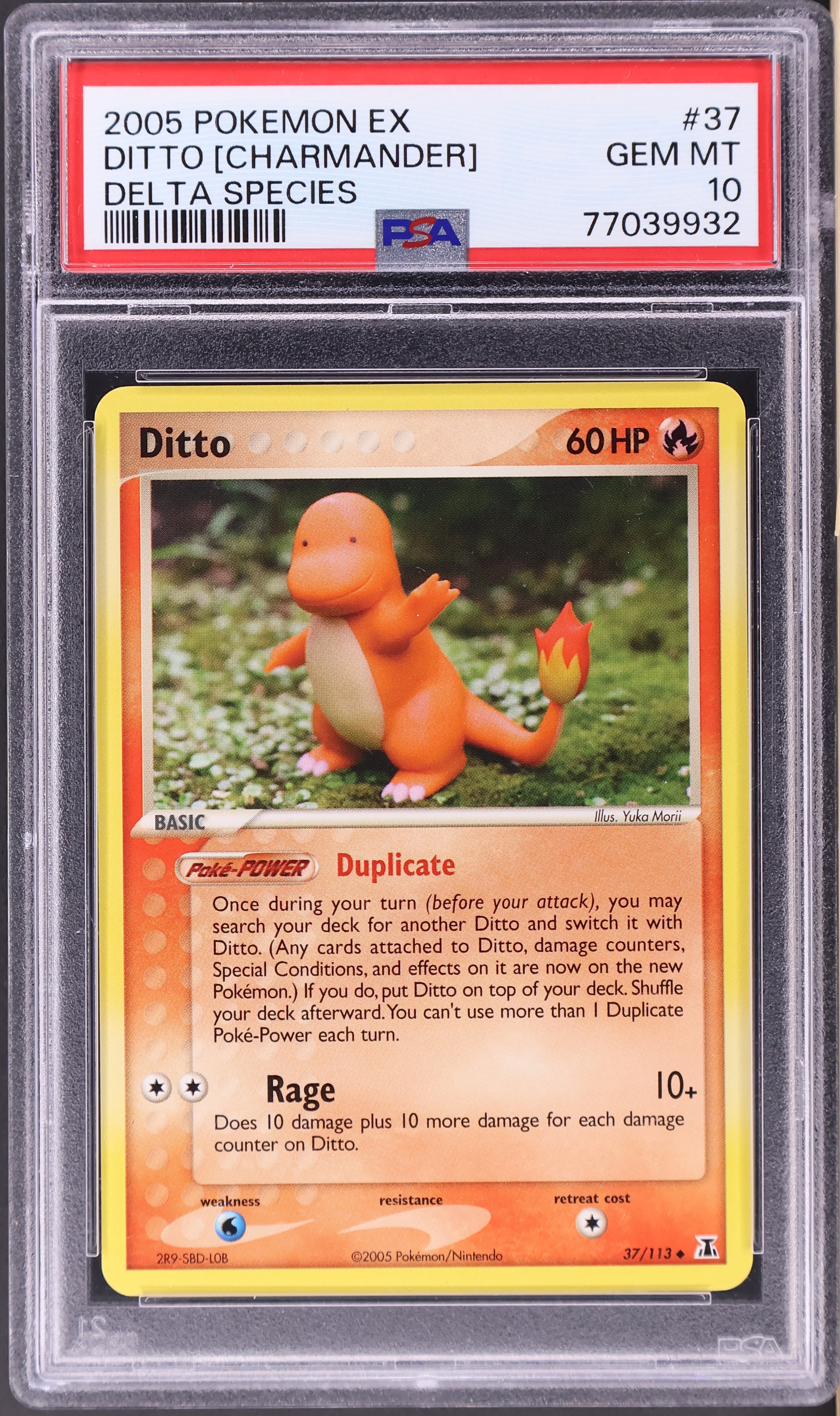 Ditto [Charmander]