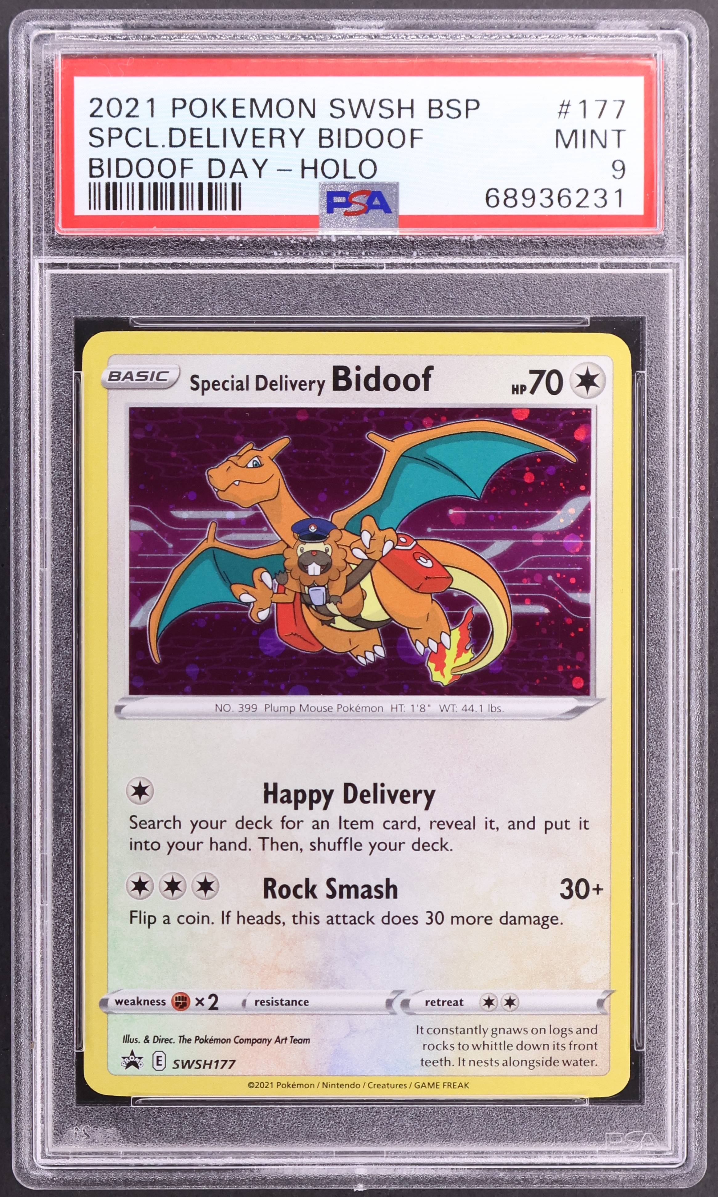 Special Delivery Bidoof-Holo [Bidoof Day]