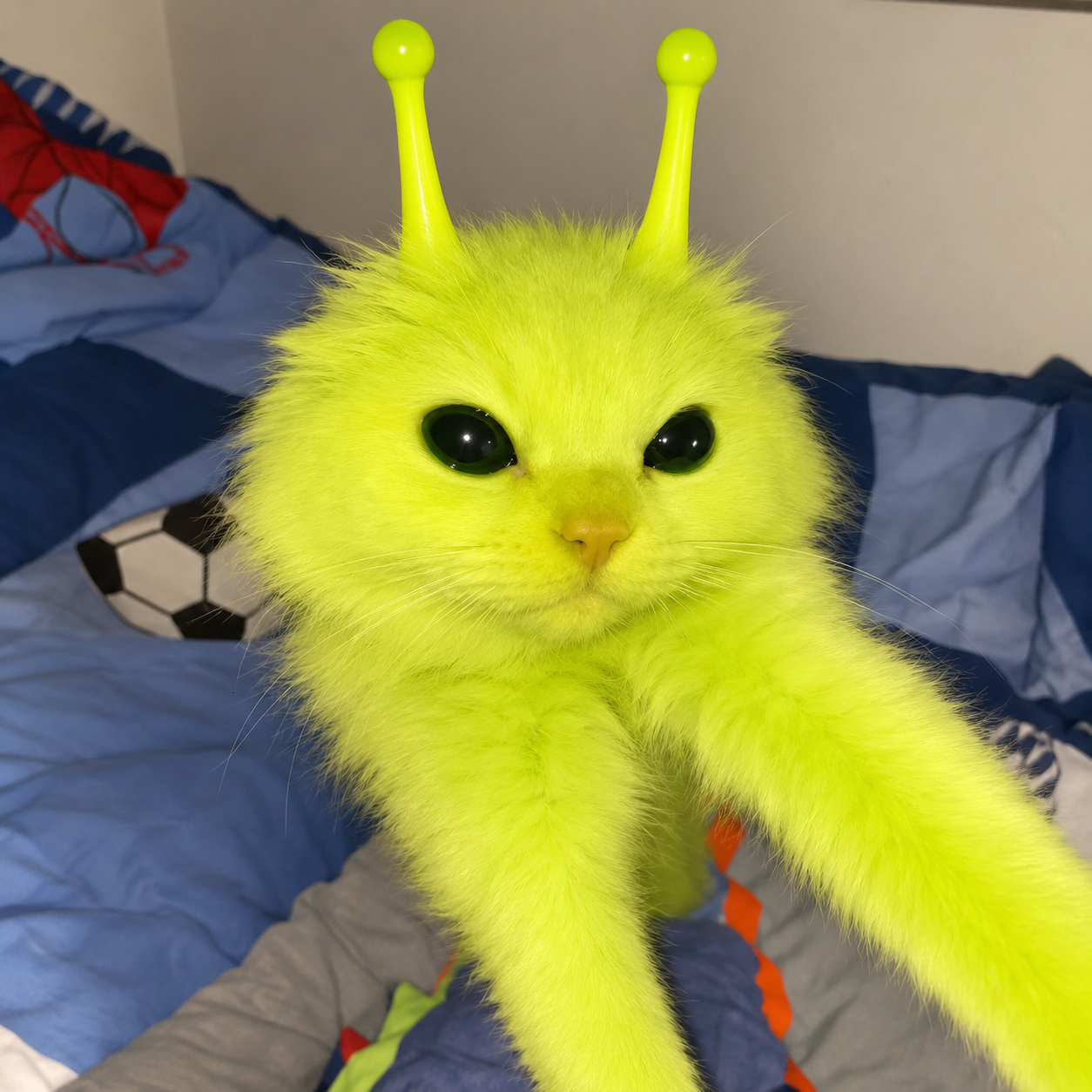 glorp