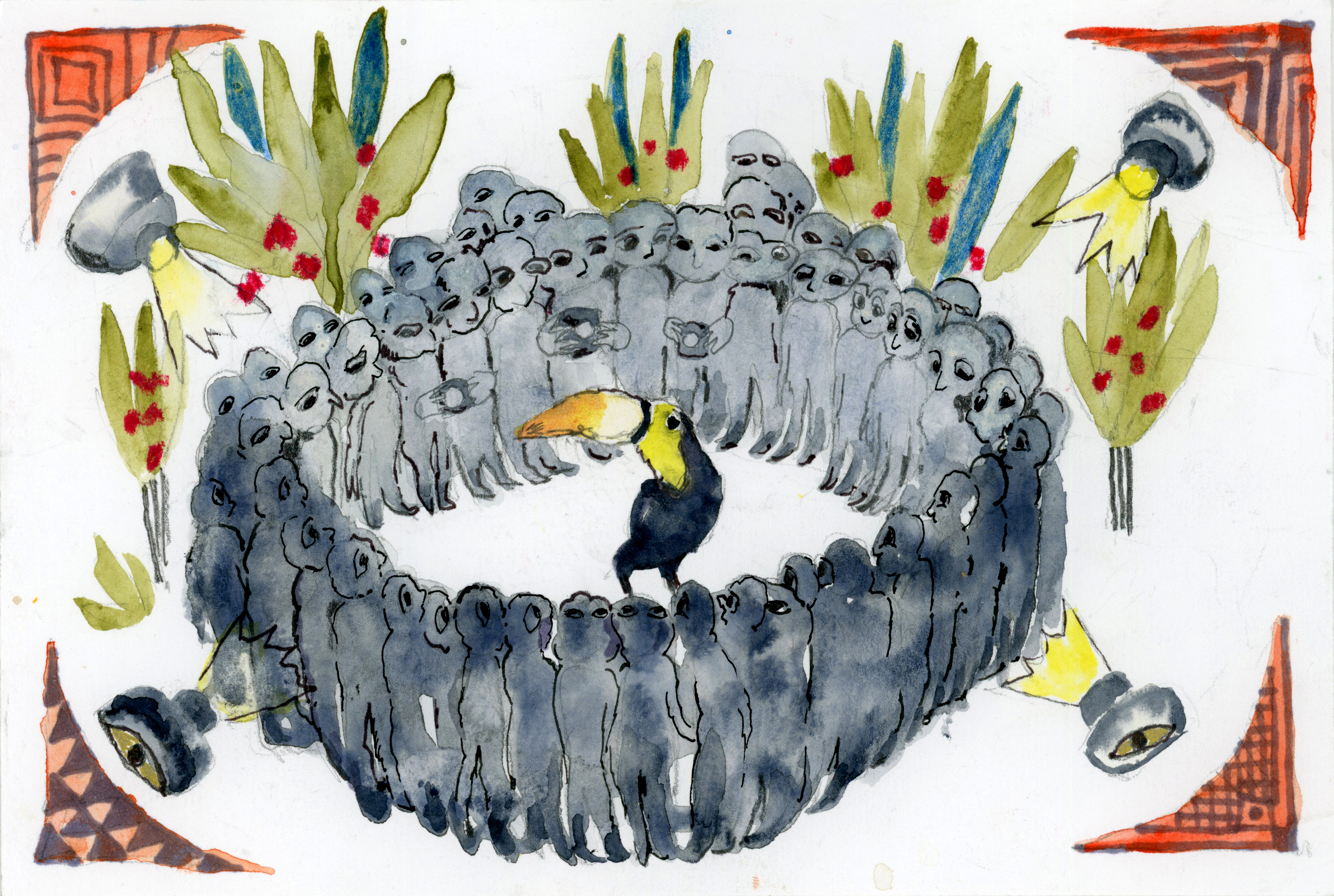 Birds were not in cages
