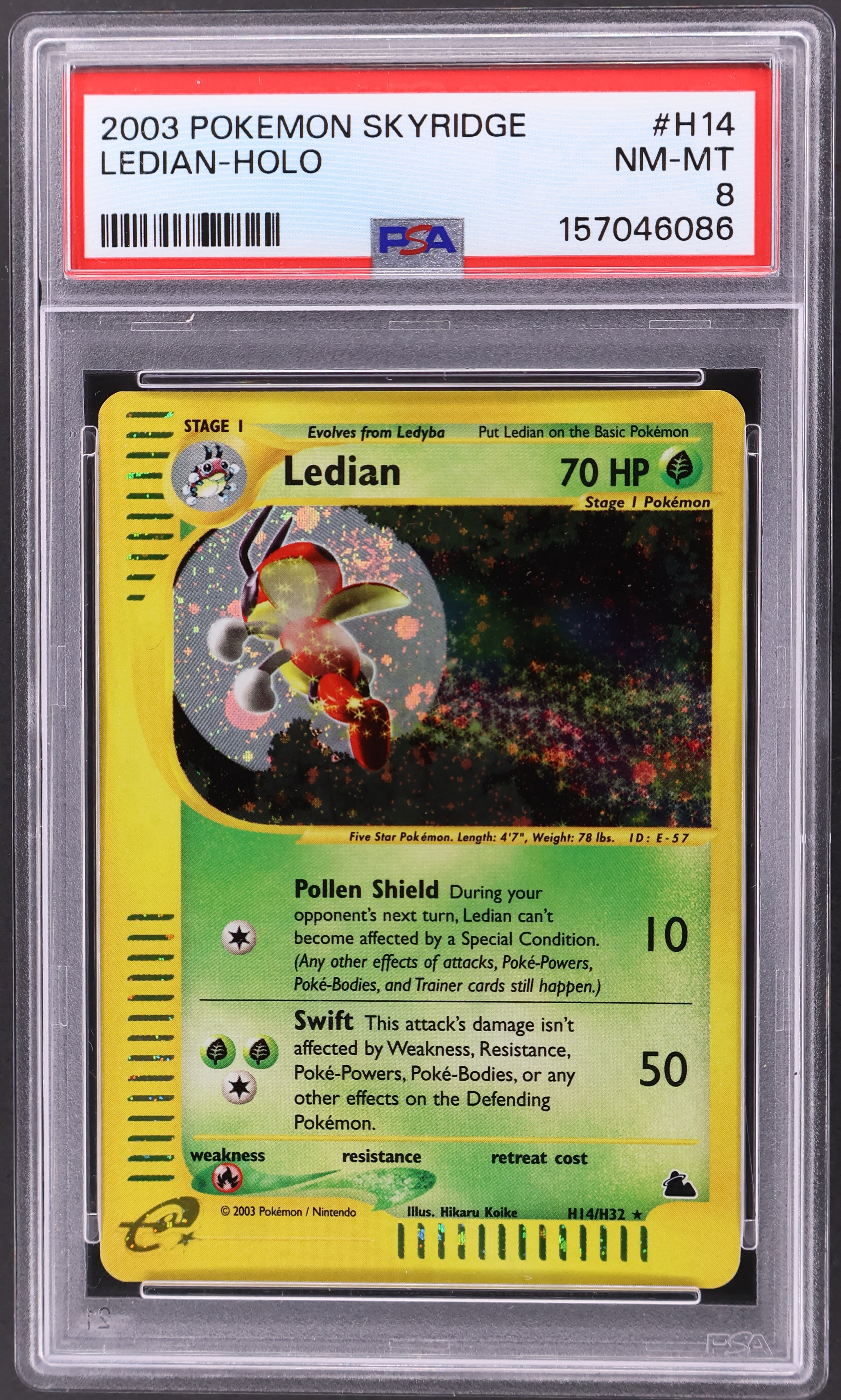 Ledian-Holo