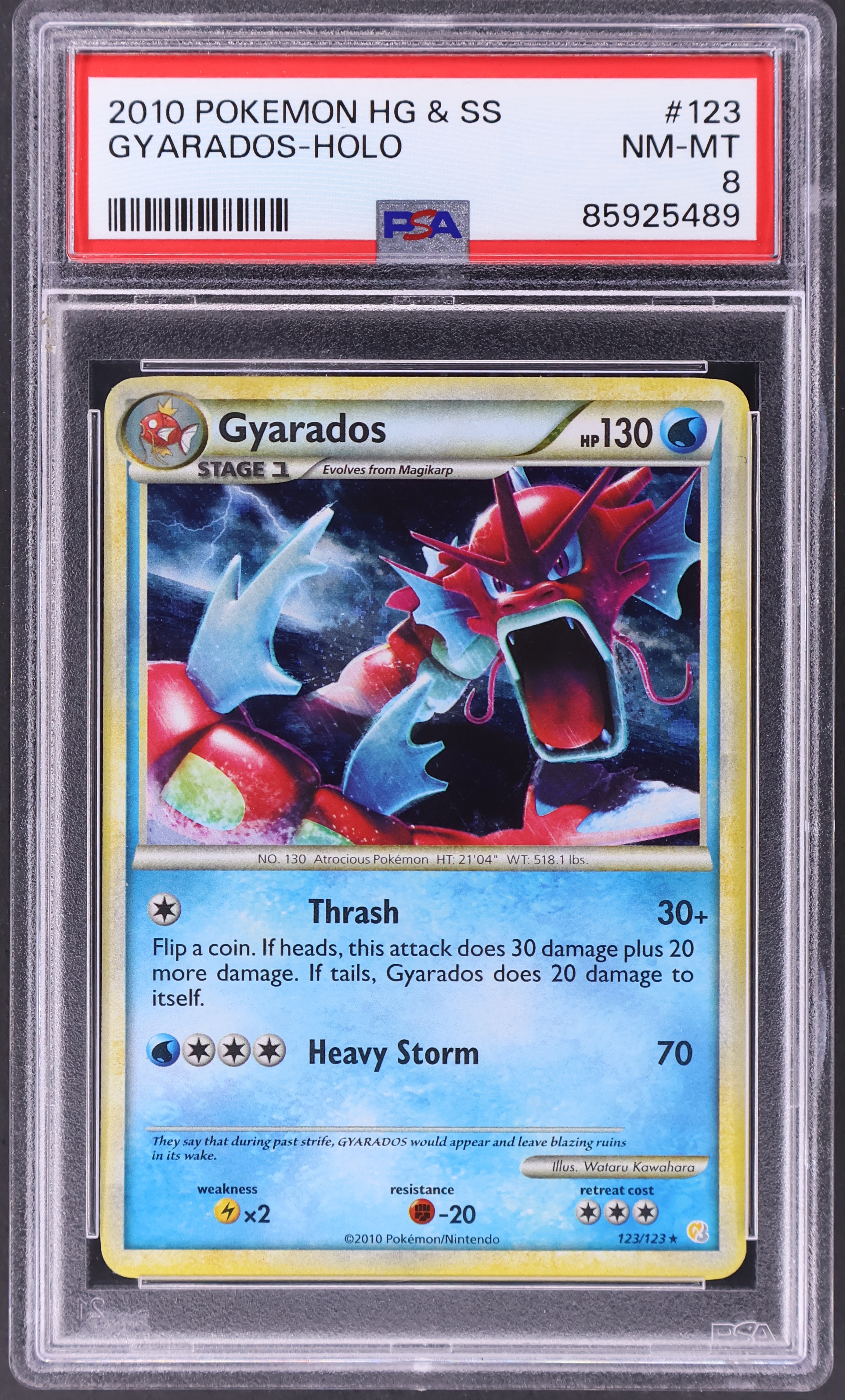 Gyarados-Holo
