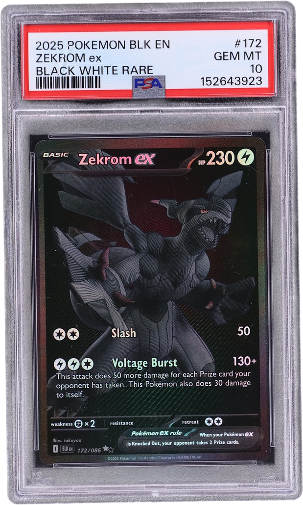 Zekrom Ex [Black White Rare]