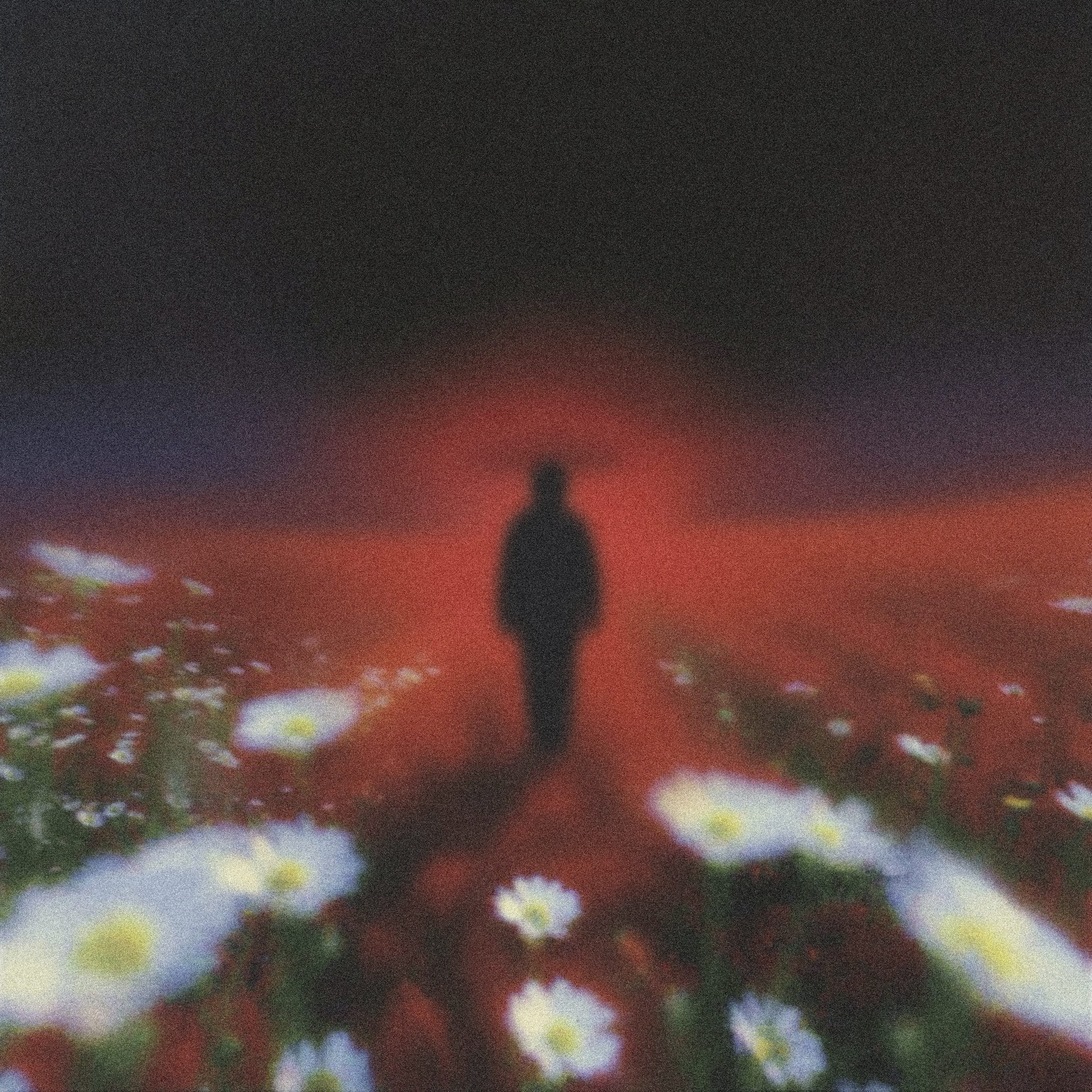 Bloom — Chapter IX of ISOLATED